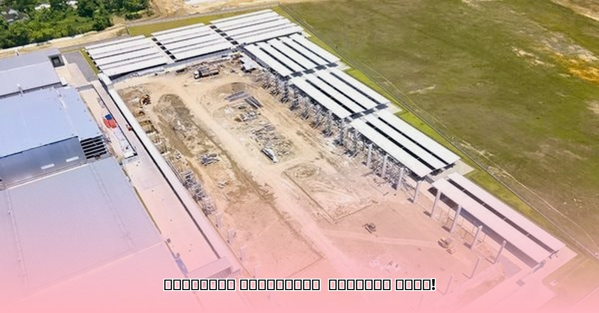 www-moi-gov-qa-traffic-violation